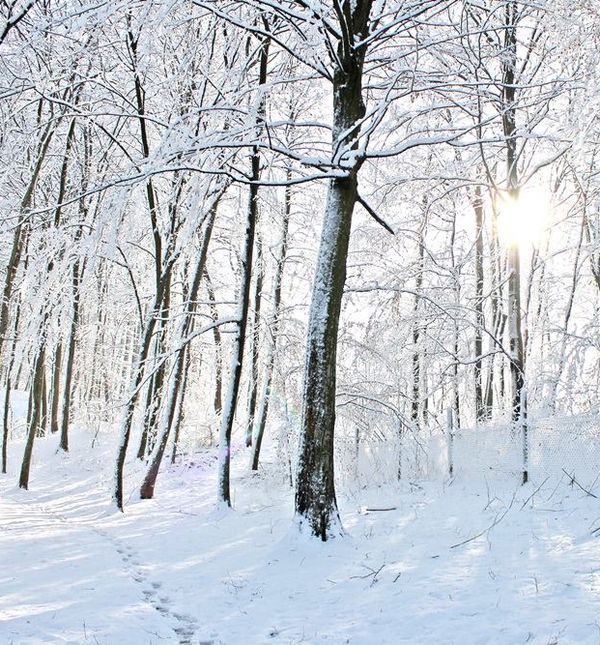 Trim staza pored Termi Sveti Martin