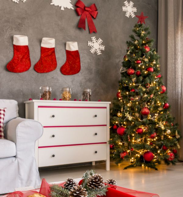 Bor kao najljepši ukras doma tijekom blagdana opisuje vaš ambijent i karakter