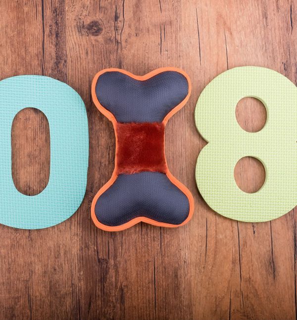 Prema Kineskom horoskopu 2018. je godina psa