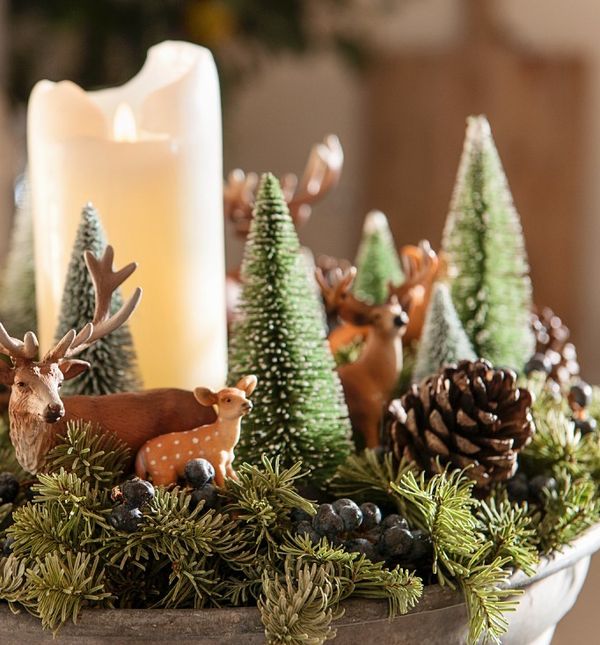 Uz malo mašte, dom će se pretvoriti u šumsko carstvo