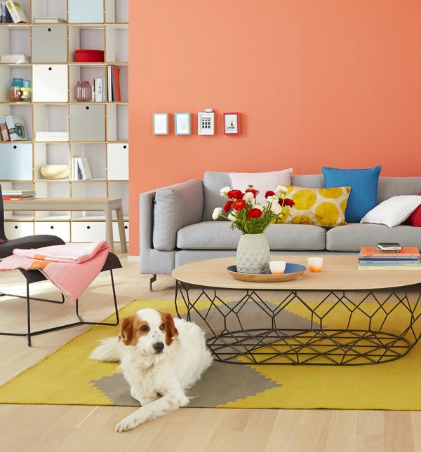 Koraljna boja u interijerima - 2