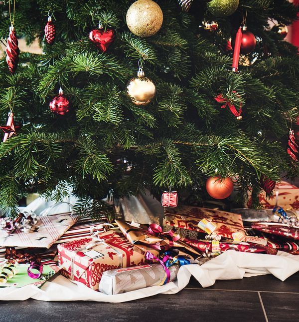 Kako odabrati božićno drvce koje će trajati