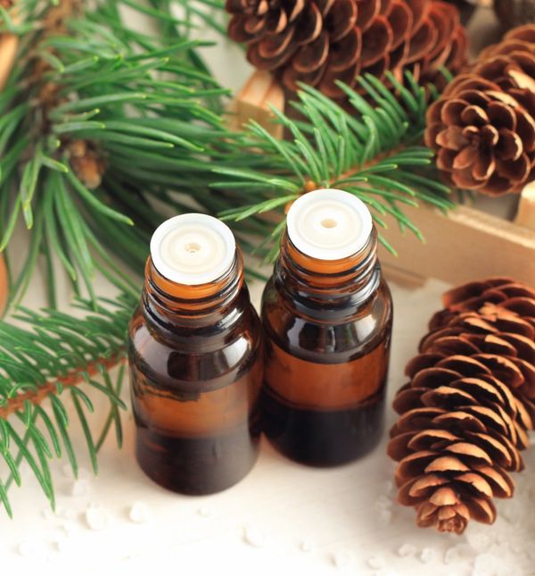 Svako eterično ulje nastaje kao produkt biljke iz njezinog korijena, kore, listova, sjemenki, plodova ili cvjetova