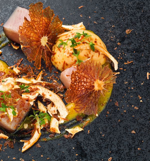 Poširana palamida, maslinovo ulje, začinsko bilje i grejp