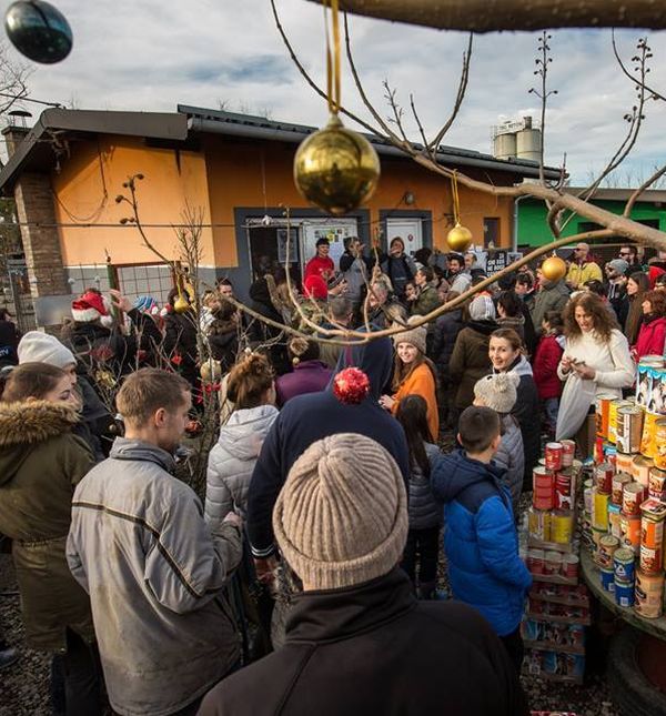 Tradicionalni božićni ručak za pse u osječkom azilu Udruge Pobjede