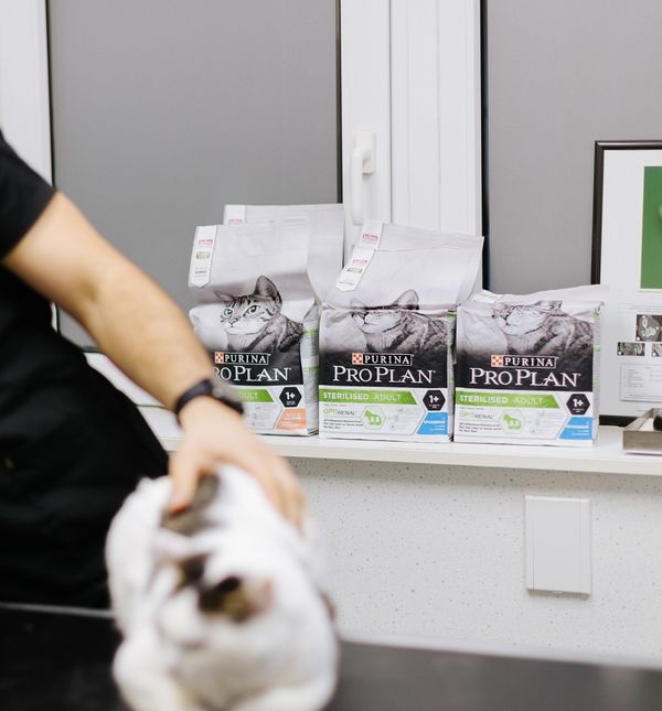 Mia Kovačić i Spock