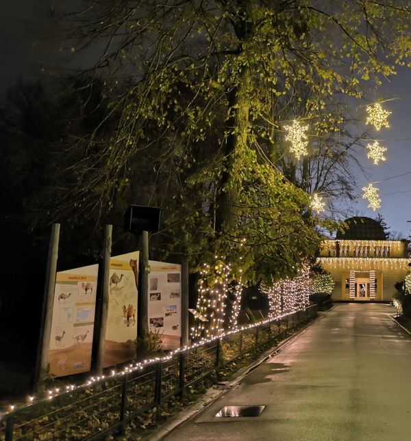 Advent u Divljem srce grada počinje 2. prosinca