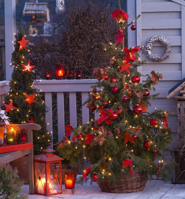 Neka i balkon ima svoj bor, pogotovo onaj u tegli