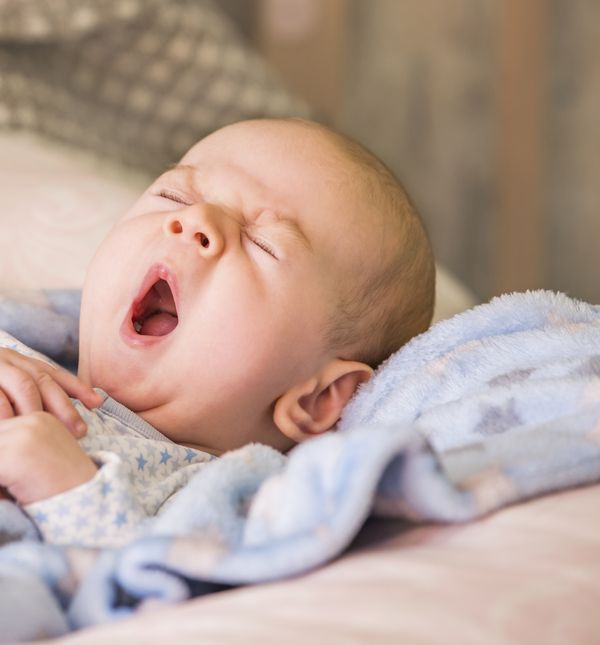 Postoji biološka komponenta povećanog broja začeća djece oko božićnih blagdana