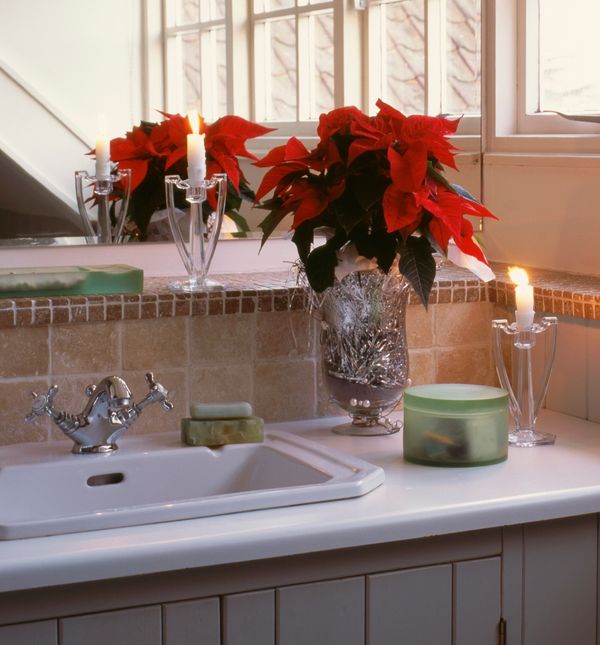 Božićna zvijezda u kupaonici