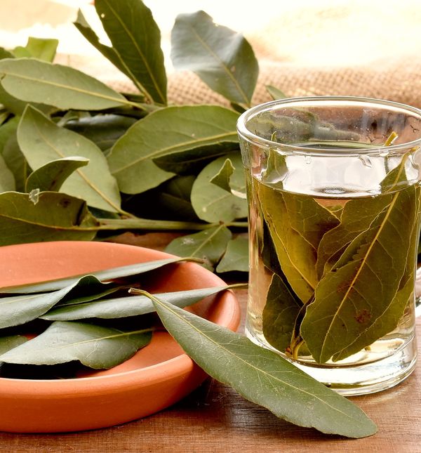 Lovor vam može pomoći u ublažavanu kašlja