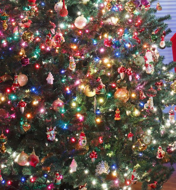 Šarene božićne jelke i dalje su najpopularnije