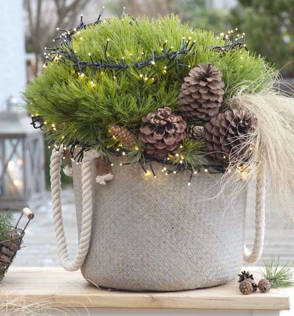 Božićne dekoracije s češerima