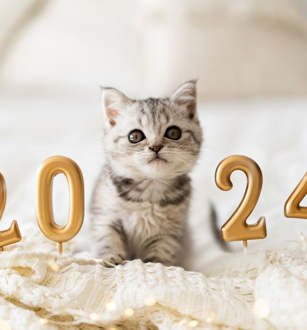 Nova godina je prilika za nove početke