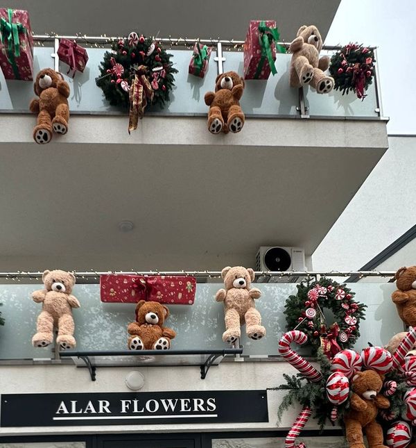 Božićno uređenje cvjećarnice u Velikoj Gorici