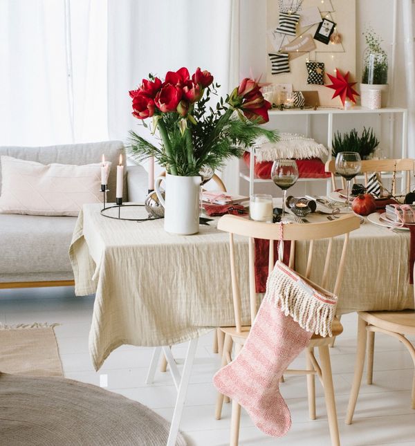 Amarilis je čaroban dodatak domu