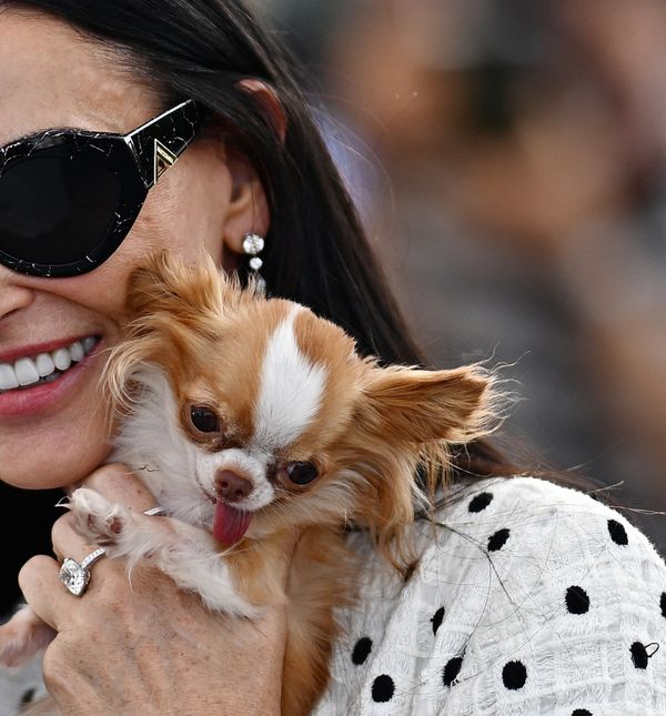 Demi Moore i njezina čivava Pilaf