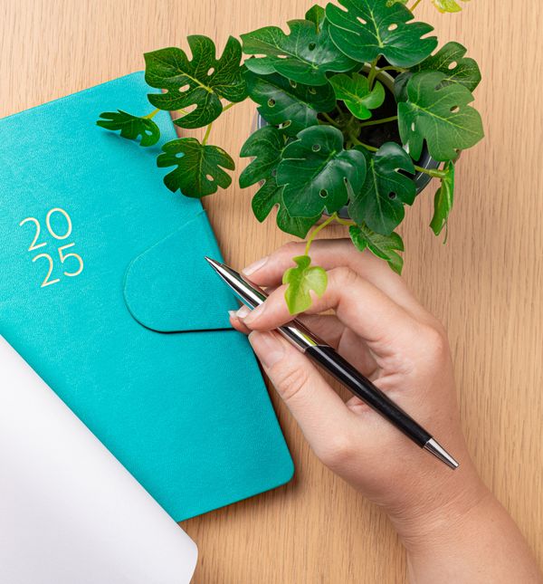 Planer za 2025. godinu može biti lijepi božićni poklon