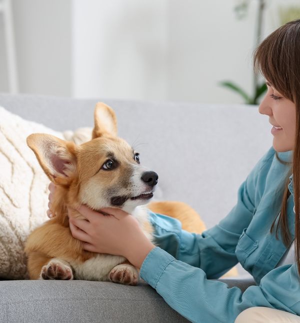 Kontakt očima vašem je psu jako važan