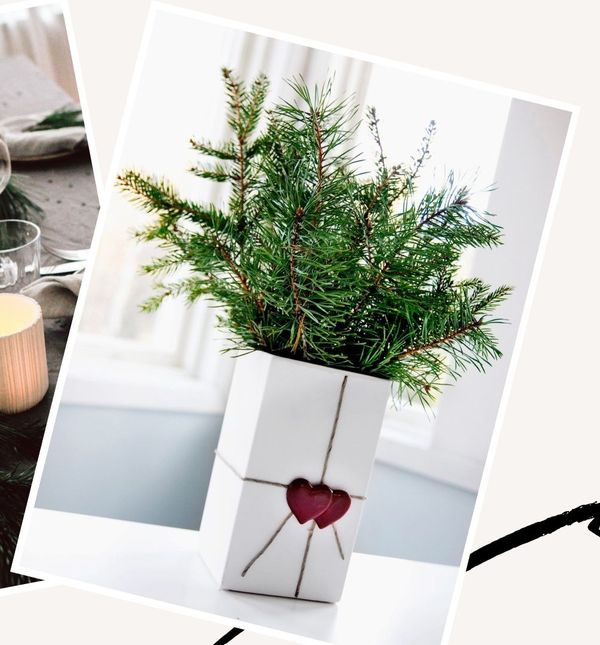 Ukrašavanje blagdanskog doma borovinom