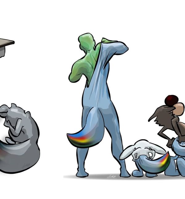 Podrška Zagrebu Midhata Kapetanovića