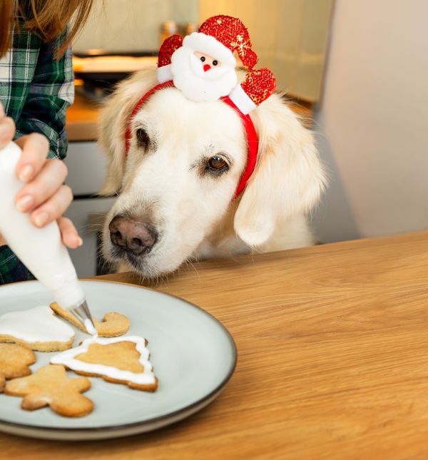 Pripazite na to kakve ostatke blagdanske hrane dajete ljubimcima
