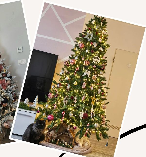 Božićna drva čitateljica portala zadovoljna.hr