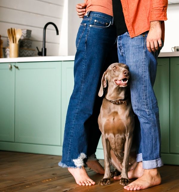 U svijetu raste trend takozvanog pet-nupa, svojevrsnog predbračnog ili partnerskog ugovora koji unaprijed definira tko zadržava ljubimca ako dođe do prekida