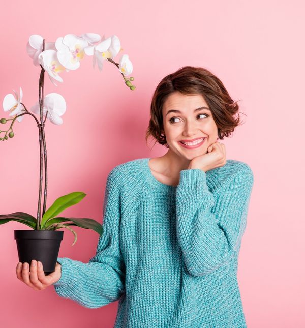 Pronašli smo poklone za dame koje vole orhideje