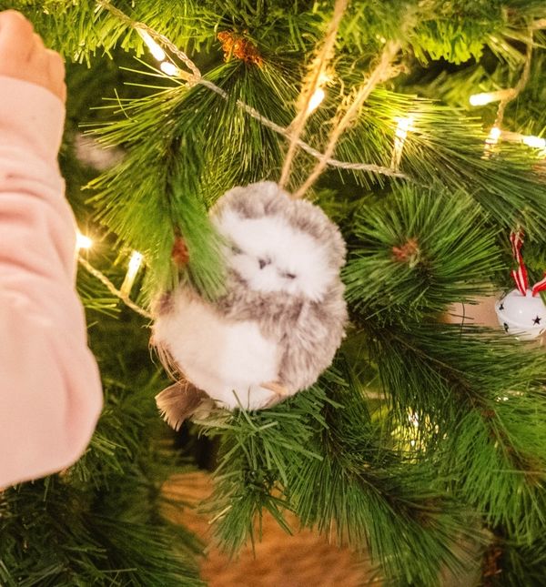 Djeca nejčešće ne biraju ukrase 