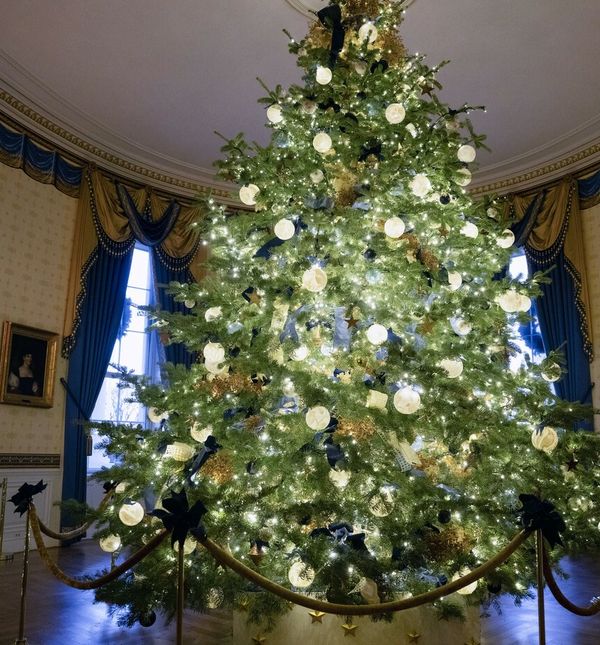 Jedno od božićnih drvaca u Bijeloj kući