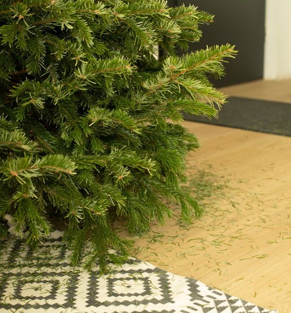 Najbolji način za uklanjanje iglica božićnog drvca s poda