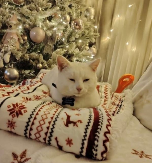 Ivana Crnov / Zadovoljna.hr