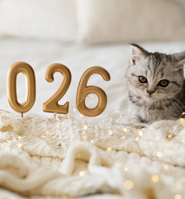 Ulazak u novu godinu idealna je prilika za mali životni reset