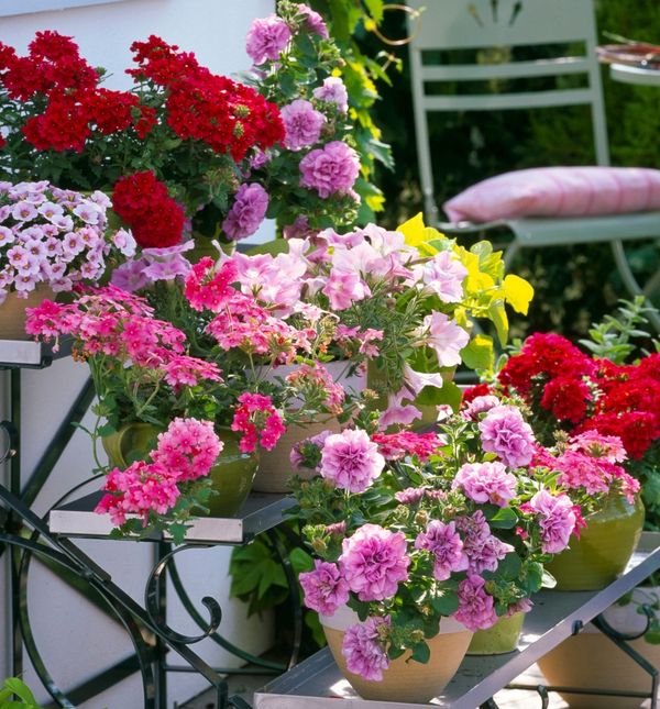 Jedva čekamo šareno cvijeće i uživanje na balkonu