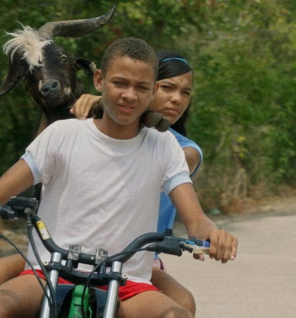 Koza nesrećonoša(Foto: KinoKino)