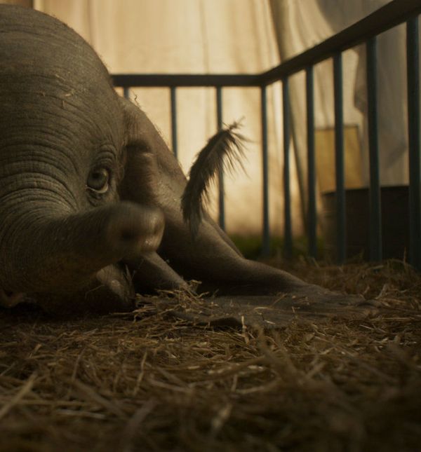 Scena iz Disneyjeva filma 'Dumbo' o slavnom letećem sloniću