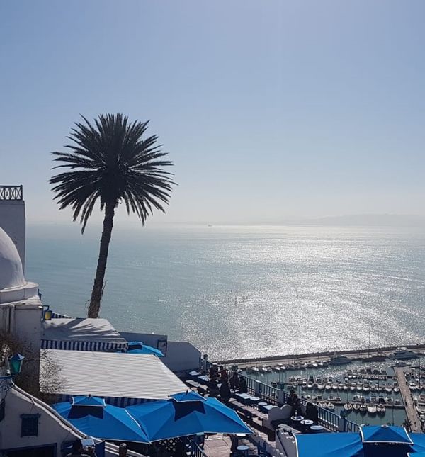 Šarmantni Sidi Bou Said