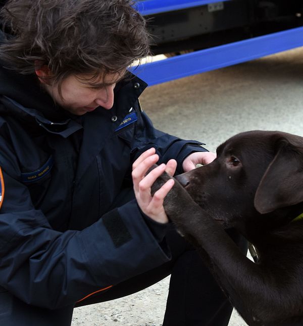 Devetogodišnji pas Gizmo i njegova trenerica Nika Markoč otišli su u potresom pogođeni turski grad Gaziantep
