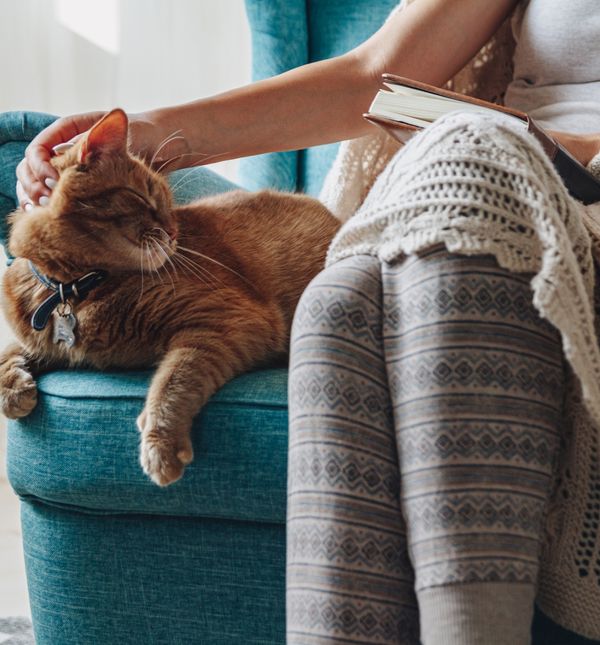 Možda vam zvijezde ovog tjedna pripremaju lijepo iznenađenje