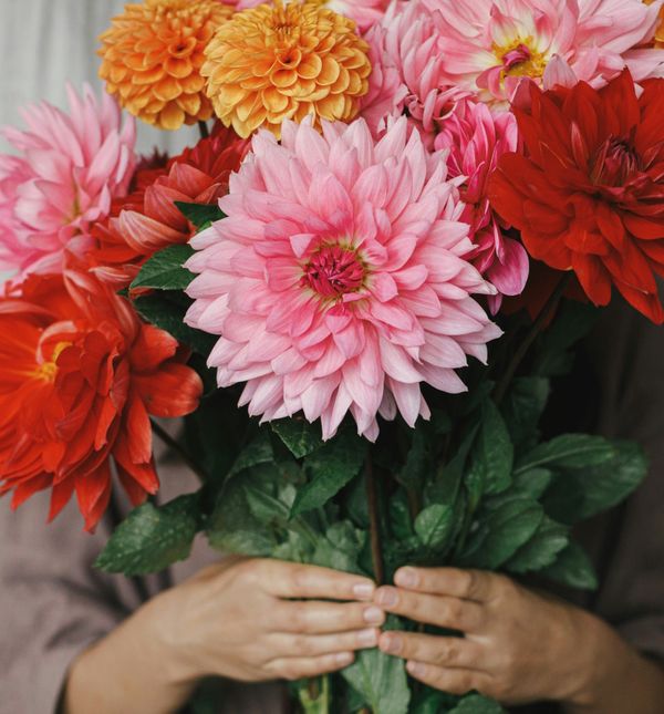 Svi zajedno bismo se trebali uključiti u jačanje temelja poštovanja i suosjećanja