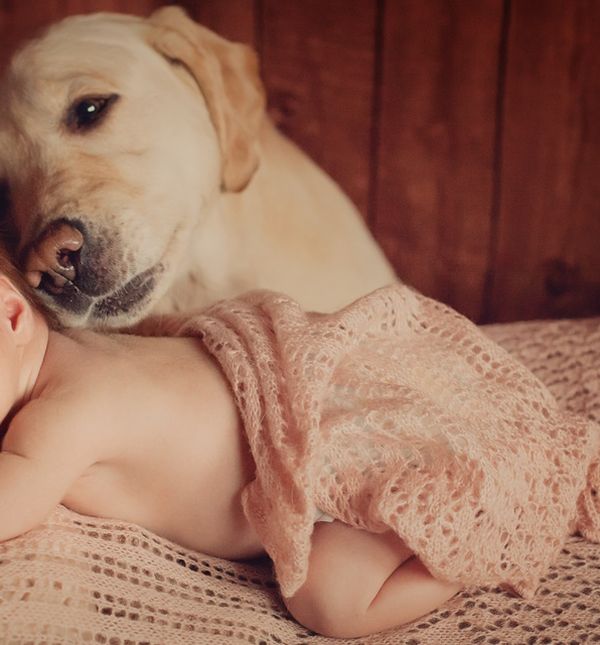 Uključite i psa u pripreme za bebu