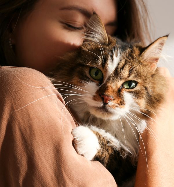 Kad ih se nosi, mačke se mogu osjećati sputano i ranjivo