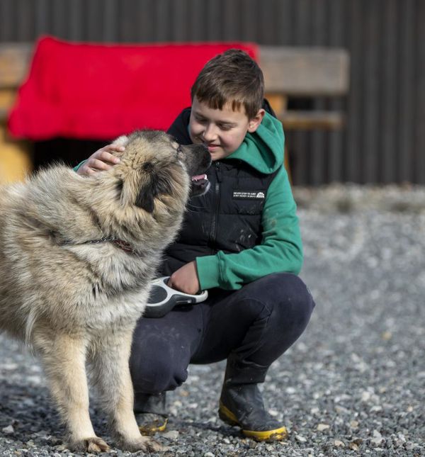 Simon Ozimec ima samo 10 godina i svake subote volontira u Skloništu za nezbrinute životinje Luč Zagorja