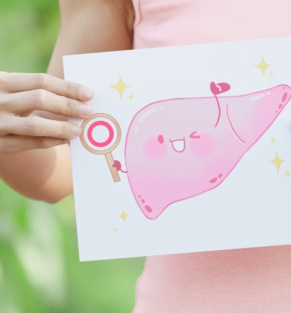 Jetra vrlo prilagodljiv i otporan organ kada se liječi