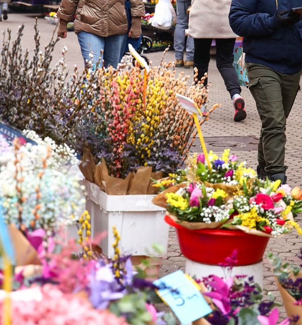 Cvijeće na splavnici