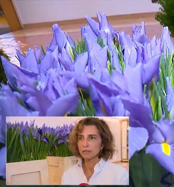Arhitektica i floristica Boška Bahtijarević