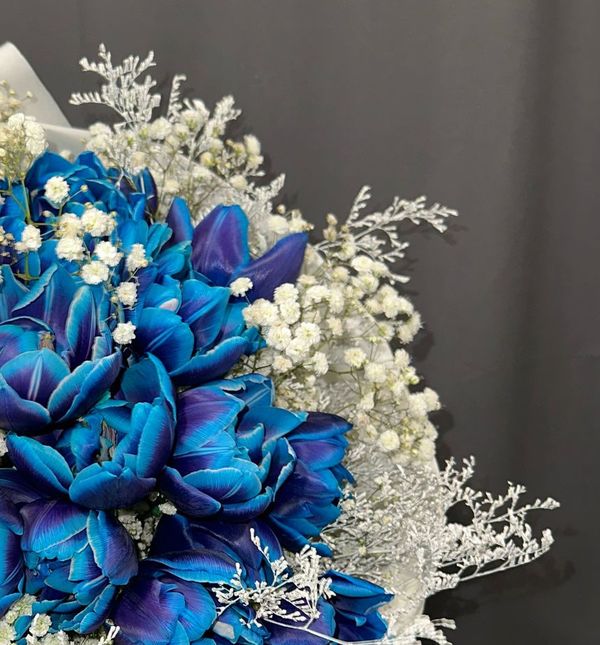 Željko Alar u svojoj cvjećarnici u Velikoj Gorici ima plave tulipane