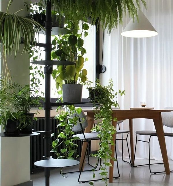 Bogato zelenilo unijelo je toplinu u stan