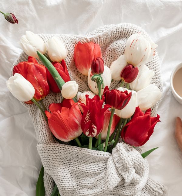 Što nam je ovog tjedna zapisano u zvijezdama?